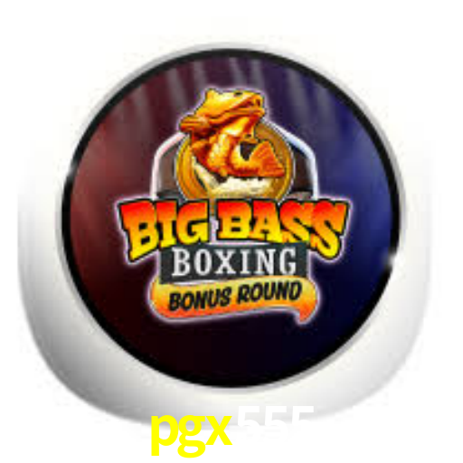 Interface do App pgx555